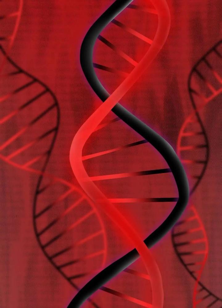 Tạo Vật Giả Chapter 59 - Trang 2