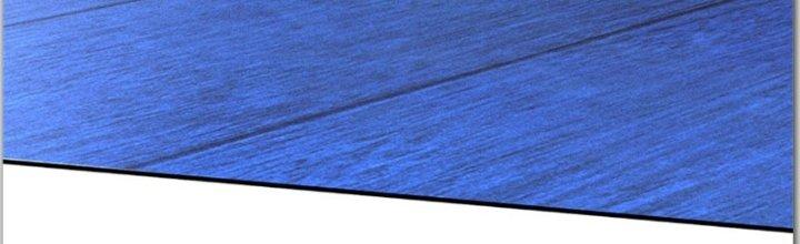 Ta Được Nuôi Dưỡng Bởi Nữ Ma Đầu Chapter 37 - Trang 2