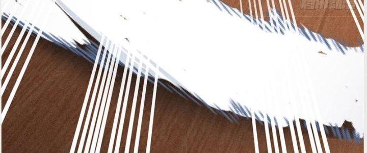 Ta Được Nuôi Dưỡng Bởi Nữ Ma Đầu Chapter 36 - Trang 2