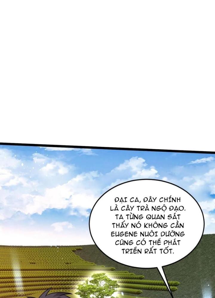 Tích Trữ 10 Vạn Vật Tư Trước Ngày Tận Thế Chapter 287 - Trang 4