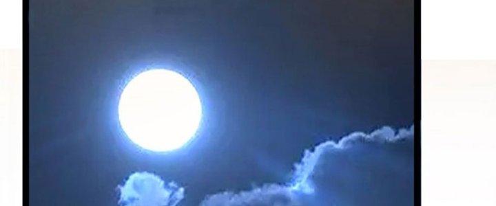 Ta Được Nuôi Dưỡng Bởi Nữ Ma Đầu Chapter 41 - Trang 2