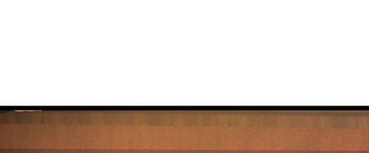 Ta Được Nuôi Dưỡng Bởi Nữ Ma Đầu Chapter 41 - Trang 2