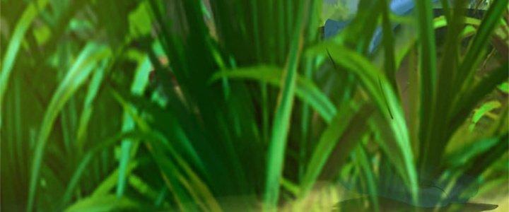 Ta Được Nuôi Dưỡng Bởi Nữ Ma Đầu Chapter 49 - Trang 2