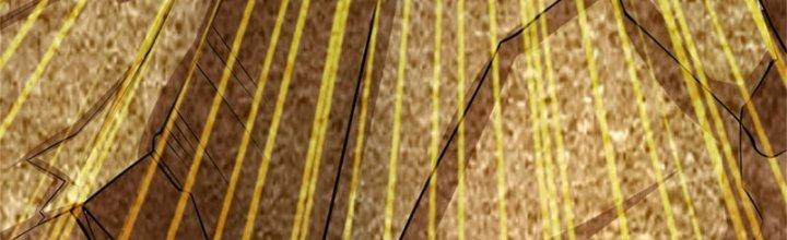 Ta Được Nuôi Dưỡng Bởi Nữ Ma Đầu Chapter 49 - Trang 2