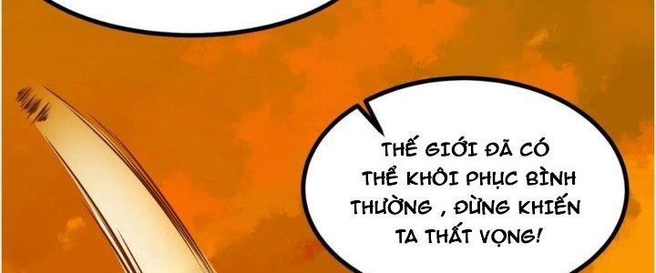 Trở Về Làm Đại Lão Thời Mạt Thế Chapter 301 - Trang 4