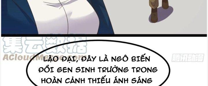 Trở Về Làm Đại Lão Thời Mạt Thế Chapter 302 - Trang 4