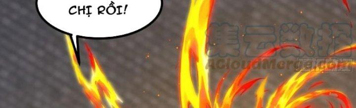 Trở Về Làm Đại Lão Thời Mạt Thế Chapter 303 - Trang 4