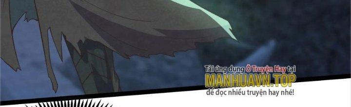 Trở Về Làm Đại Lão Thời Mạt Thế Chapter 306 - Trang 3
