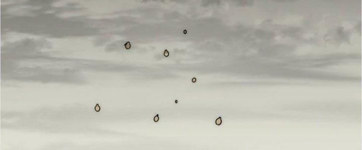 Mạt Thế Đạo Tặc Hành Chapter 116 - Trang 3