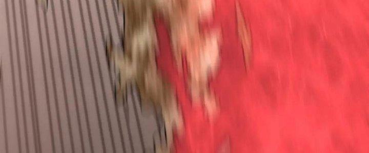 Mạt Thế Đạo Tặc Hành Chapter 124 - Trang 3