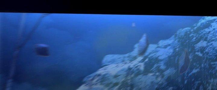 Ta Bị Địa Cầu Bắt Cóc Rồi Chapter 16 - Trang 3