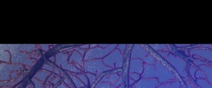 Trường Sinh Đạo Chapter 55 - Trang 2