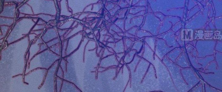 Trường Sinh Đạo Chapter 55 - Trang 2