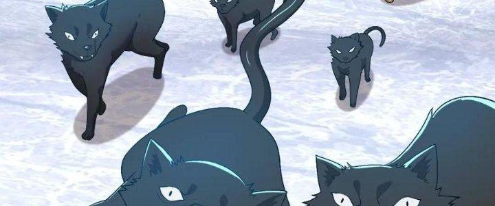 Thẻ Bài Của Tôi Có Thể Hợp Thành Vô Hạn Chapter 20 - Trang 3