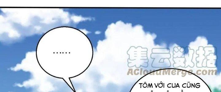 Thẻ Bài Của Tôi Có Thể Hợp Thành Vô Hạn Chapter 20 - Trang 3