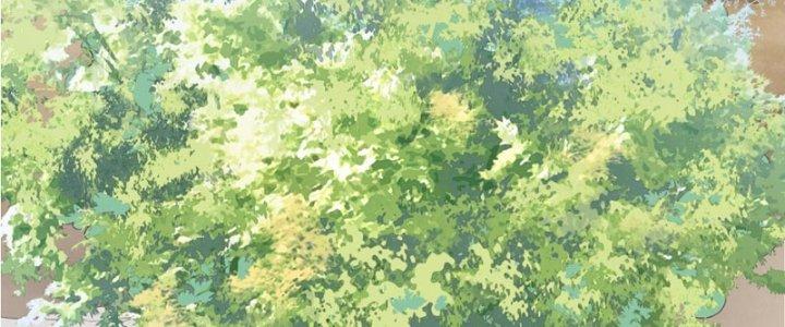 Trong Tông Môn Ngoại Trừ Ta Ra Đều Là Gián Điệp Chapter 15 - Trang 3