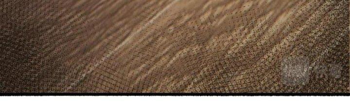 Linh Khí Bạo Phát, Ta Vô Tình Thức Tỉnh Thành Thần Chapter 14 - Trang 2