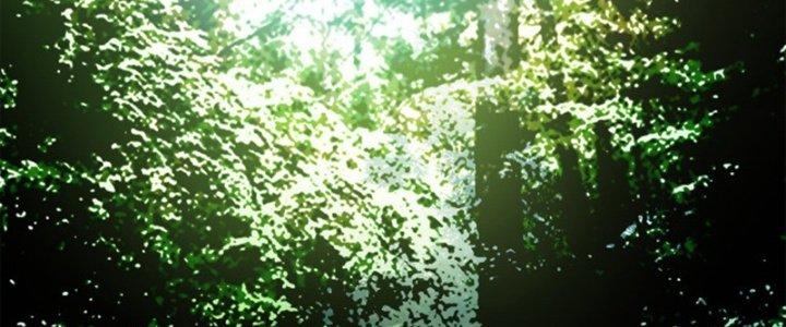 Pubg Luck Rookie Chapter 13 - Trang 3