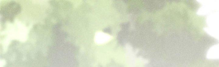 Thăng Tà Chapter 3 - Trang 2