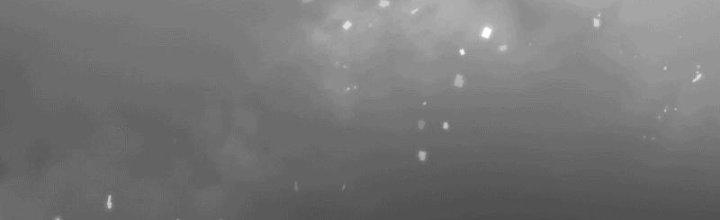 Tinh Môn Chapter 9 - Trang 2