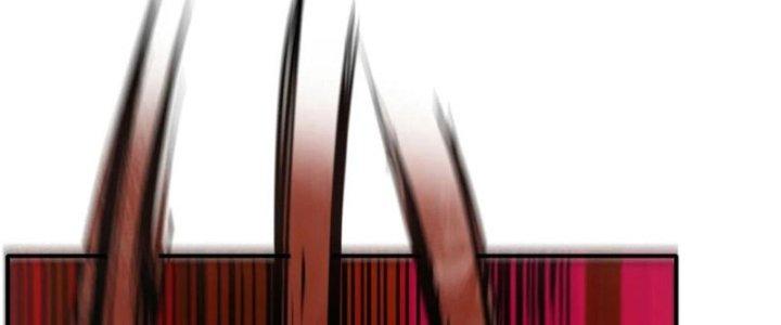 Tinh Môn Chapter 43 - Trang 2