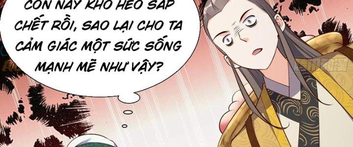 Ta Thật Sự Không Phải Là Cái Thế Cao Nhân Chapter 46 - Trang 4