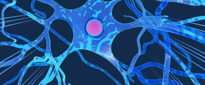 Pubg Luck Rookie Chapter 17 - Trang 3