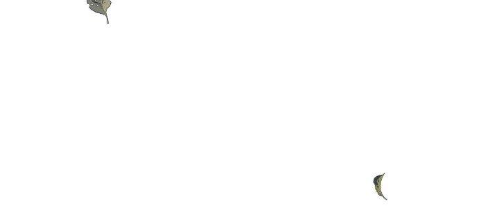 Pubg Luck Rookie Chapter 17 - Trang 3