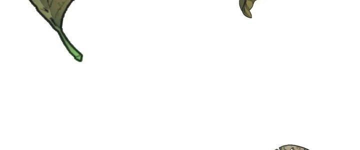 Pubg Luck Rookie Chapter 17 - Trang 3