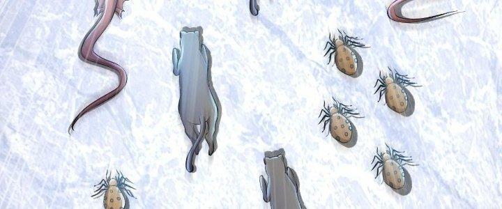 Thẻ Bài Của Tôi Có Thể Hợp Thành Vô Hạn Chapter 6 - Trang 3