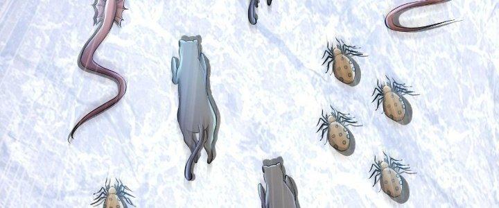 Thẻ Bài Của Tôi Có Thể Hợp Thành Vô Hạn Chapter 7 - Trang 3