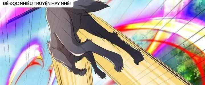 Thẻ Bài Của Tôi Có Thể Hợp Thành Vô Hạn Chapter 11 - Trang 3