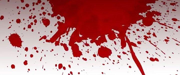 Vì Tướng Mạo Hung Ác, Ta Trở Thành Ma Đế Chapter 1 - Trang 2