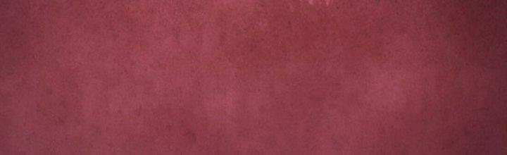 Vì Tướng Mạo Hung Ác, Ta Trở Thành Ma Đế Chapter 1 - Trang 2