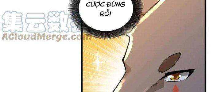 Thẻ Bài Của Tôi Có Thể Hợp Thành Vô Hạn Chapter 15 - Trang 3