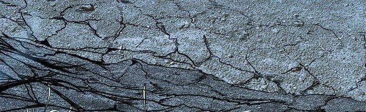 Cực Đại Khoa Trương Chapter 0 - Trang 2