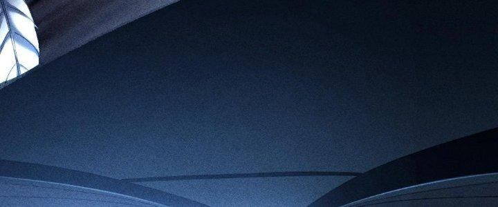 Cực Đại Khoa Trương Chapter 2 - Trang 2