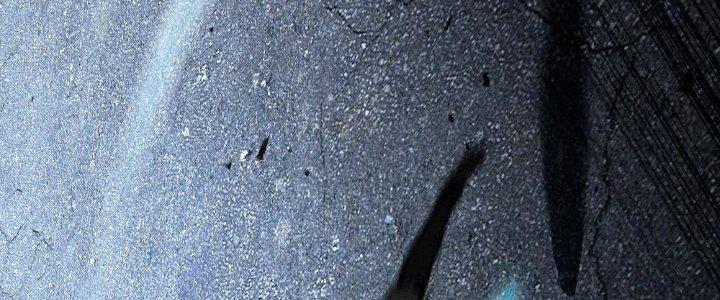 Cực Đại Khoa Trương Chapter 2 - Trang 2