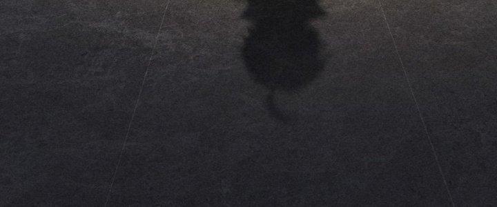 Cực Đại Khoa Trương Chapter 3 - Trang 2