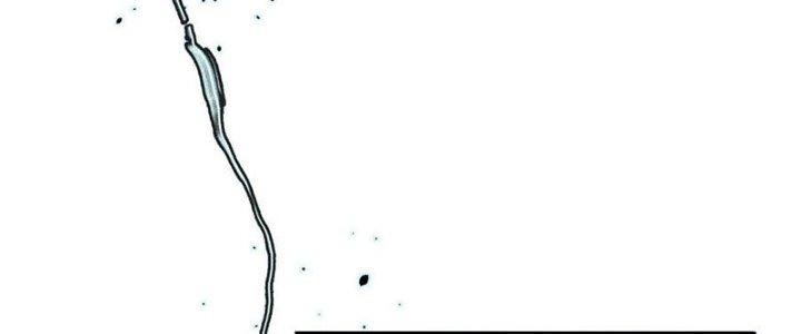 Bạch Cốt Đại Thánh Chapter 41 - Next Chapter 42