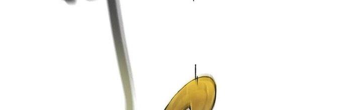 Bạch Cốt Đại Thánh Chapter 43 - Next Chapter 44