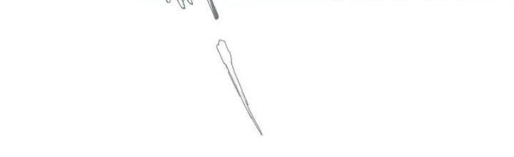 Bạch Cốt Đại Thánh Chapter 57 - Next Chapter 58