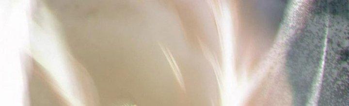 Bạch Cốt Đại Thánh Chapter 62 - Next Chapter 63