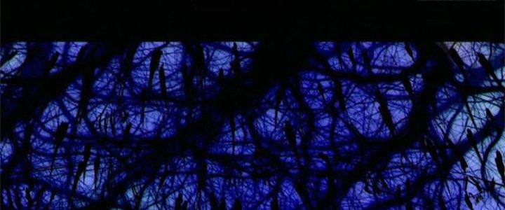 Bạch Cốt Đại Thánh Chapter 64 - Next Chapter 65