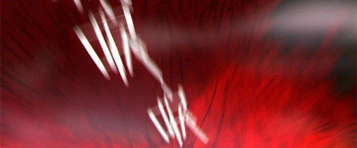 Bạch Cốt Đại Thánh Chapter 65 - Trang 3