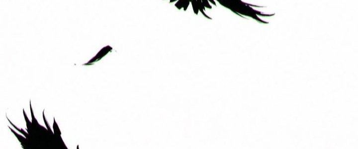 Bạch Cốt Đại Thánh Chapter 67 - Next Chapter 68