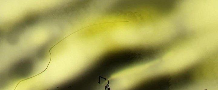 Bạch Cốt Đại Thánh Chapter 67 - Next Chapter 68