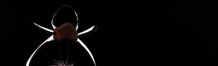 Bạch Cốt Đại Thánh Chapter 75 - Next Chapter 76