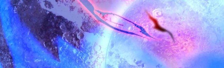 Nam Nhân Đến Từ Địa Ngục Chapter 56 - Trang 3