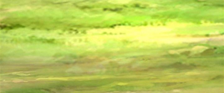 Toàn Dân Lãnh Chủ: Bắt Đầu Xây Dựng Bất Hủ Tiên Vực Chapter 8 - Trang 3